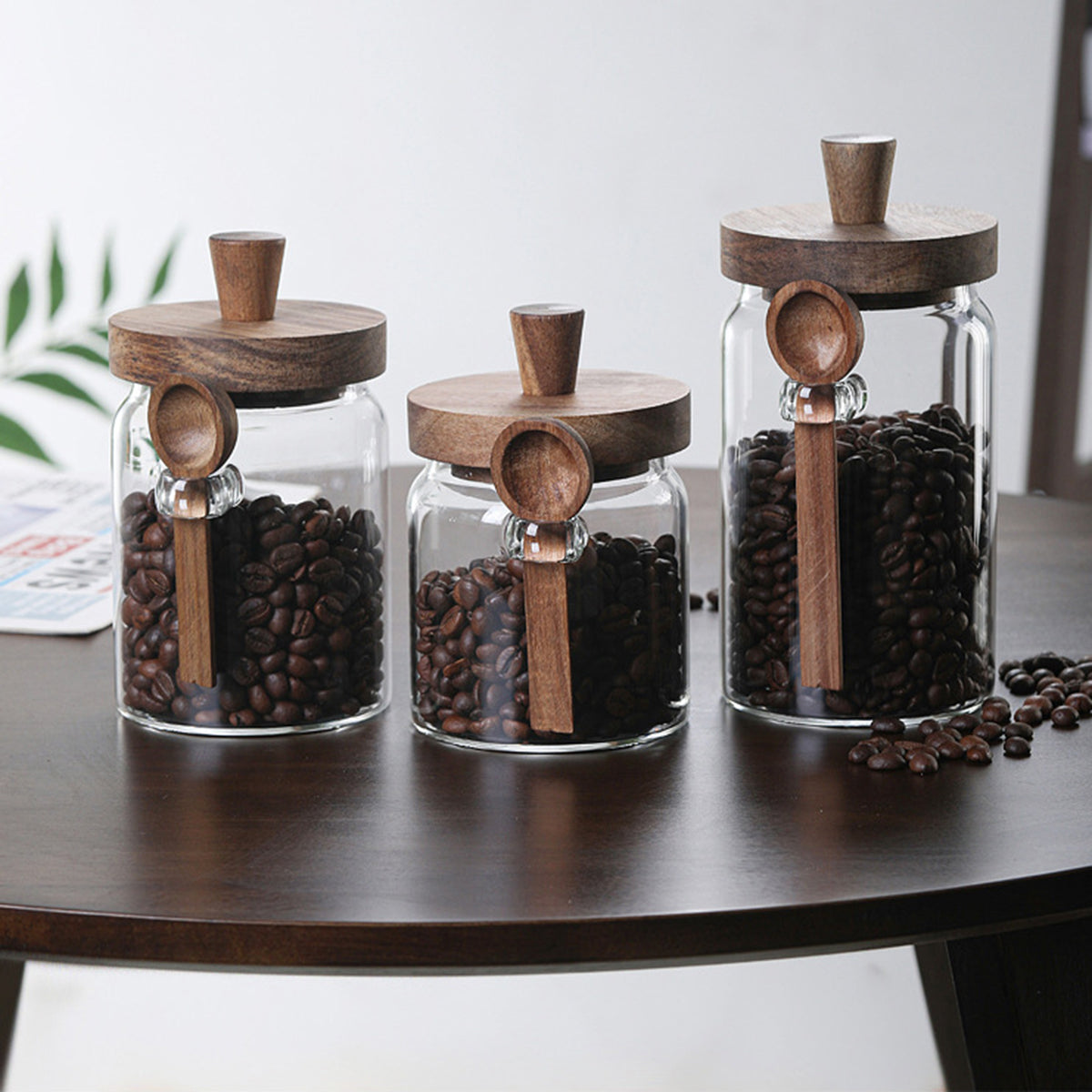 PREMIA HOMES 3Pcs Glass Coffee Jars with Spoons,Candy Jars,Biscuit Jars,Storage Jars,Tea Jars
